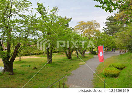Shibata Castle, one of Japan's 100 most famous castles Shibata Castle, one of Japan's 100 most famous castles 125806159