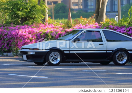 domestic sports car 125806194