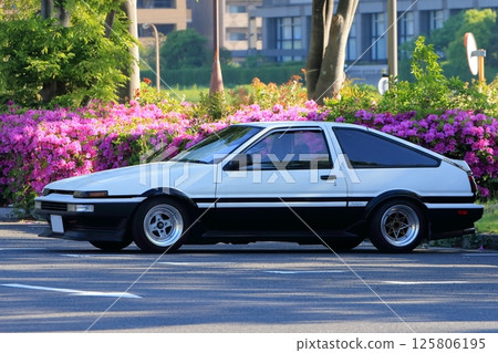 domestic sports car 125806195