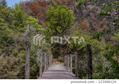 Beautiful scenery even after the forest fire at Mount Hachijoiwa in Kojima Peninsula, Okayama Prefecture, Japan 125806224