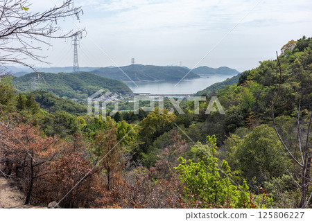 Beautiful scenery even after the forest fire at Mount Hachijoiwa in Kojima Peninsula, Okayama Prefecture, Japan Beautiful scenery even after the forest fire at Mount Hachijoiwa in Kojima Peninsula, Okayama Prefecture, Japan 125806227