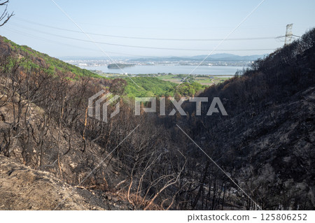 Beautiful scenery even after the forest fire at Mount Hachijoiwa in Kojima Peninsula, Okayama Prefecture, Japan Beautiful scenery even after the forest fire at Mount Hachijoiwa in Kojima Peninsula, Okayama Prefecture, Japan 125806252