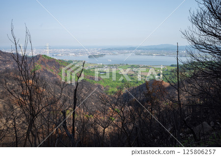 日本岡山縣兒島半島八丈岩山森林火災後依然風景優美 日本岡山縣兒島半島八丈岩山森林火災後依然風景優美 125806257