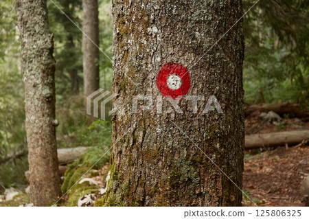 Hiking trail signs on trees 125806325