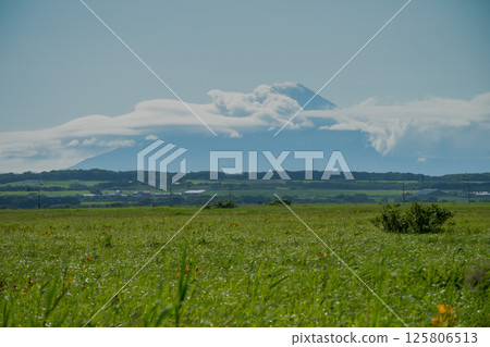 Green marsh and Rishirifuji Green marsh and Rishirifuji 125806513