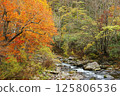 Autumn, autumn leaves and valley 125806536