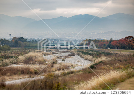 Nagano Electric Railway Snow Monkey 125806694