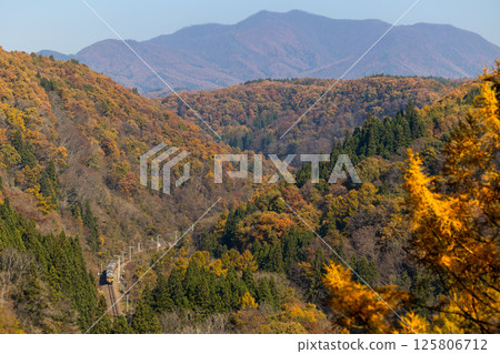 穿梭於紅葉山間的湘南色115系列車 125806712