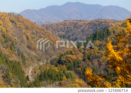 Shonan-colored 115 series train running through the autumn foliage of the mountains 125806714