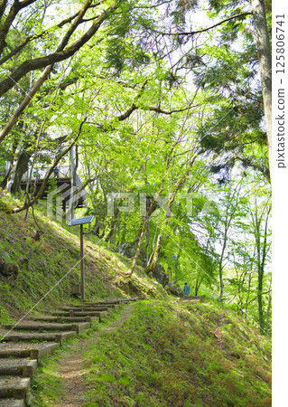 Kyoto Prefecture Kyotanba Town Limestone Cave Limestone Cave Kyoto Prefecture Kyotanba Town Limestone Cave Limestone Cave 125806741