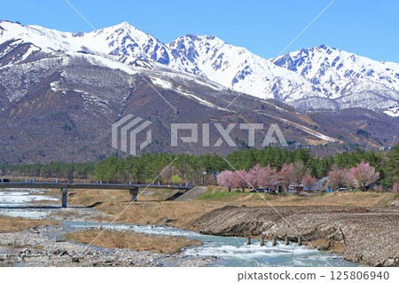 Springtime view of the Hakuba Sanzan mountains from Hirakawa Bridge 125806940
