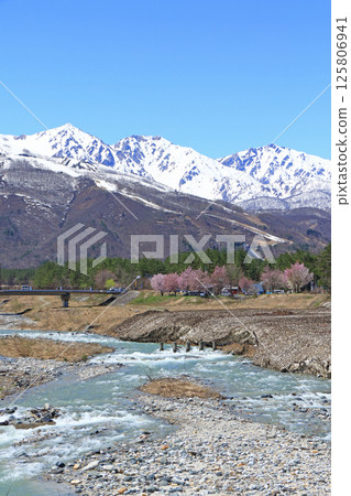 從平川橋欣賞白馬三山的春日美景 125806941