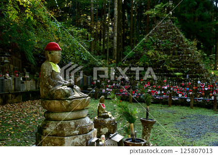 Takanoyama Okunoinininyuganzuka 125807013