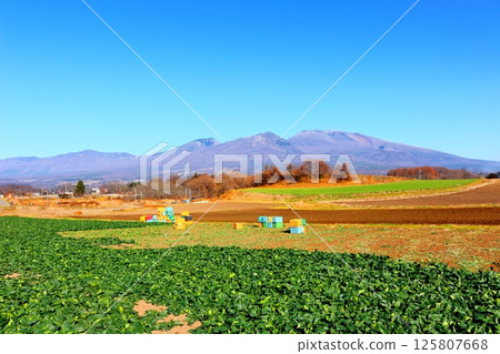 十二月的淺間山　信州山巒　信州自然　信州風景 125807668