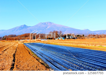Mt. Asama in December　Shinshu Mountains　Shinshu Nature　Shinshu Scenery 125807793
