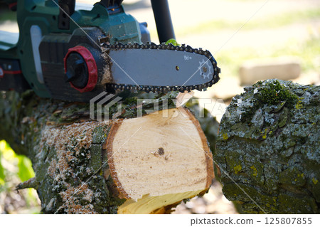 Powerful chainsaw makes a precise cut through a log, showing the wood's texture and sawdust. 125807855