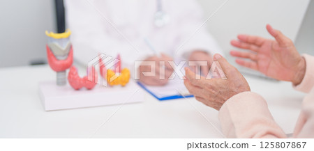 Elderly Patient consulting and Diagnosis with Doctor to Thyroid disease. Anatomy Thyroid model for Hyperthyroidism, Hypothyroidism, Hashimoto Thyroiditis, Thyroid Tumor and Cancer, Papillary Carcinoma 125807867