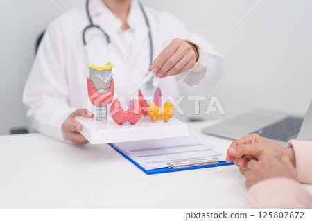 Elderly Patient consulting and Diagnosis with Doctor to Thyroid disease. Anatomy Thyroid model for Hyperthyroidism, Hypothyroidism, Hashimoto Thyroiditis, Thyroid Tumor and Cancer, Papillary Carcinoma 125807872