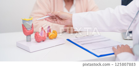 Elderly Patient having Neck pain and consulting  with Doctor to Thyroid disease. Anatomy Thyroid model for Hyperthyroidism, Hypothyroidism, Hashimoto Thyroiditis, Thyroid Tumor and Cancer 125807883