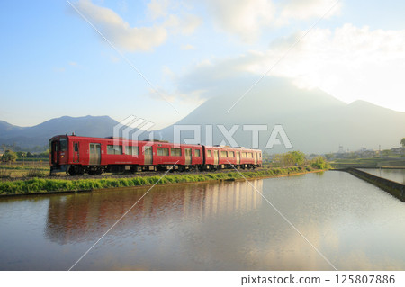 A red train (JR Kyushu Kiha 200 series) running through the Yufuin Basin early in the morning 125807886