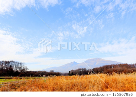 十二月的淺間山　信州山巒　信州自然　信州風景 125807986