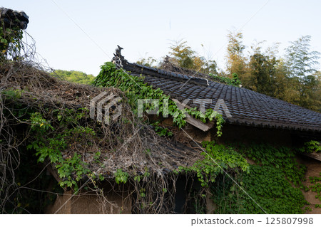 日本兵庫縣養父市一座古老而美麗的建築 日本兵庫縣養父市一座古老而美麗的建築 125807998