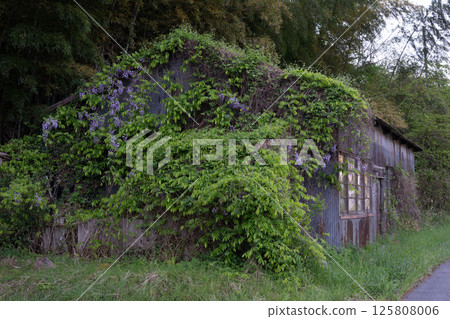 An old and very beautiful building in Yabu, Hyogo Prefecture, Japan An old and very beautiful building in Yabu, Hyogo Prefecture, Japan 125808006