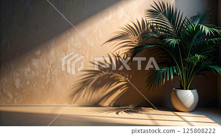 vibrant green palm plant casts intricate shadows warm pastel orange wall, creating serene and inviting atmosphere modern interior space. interplay of light and shadow adds depth and tranquility 125808222