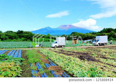 Mt. Asama and highland vegetable fields in August Mountains of Shinshu Nature of Shinshu Scenery of Shinshu 125808414