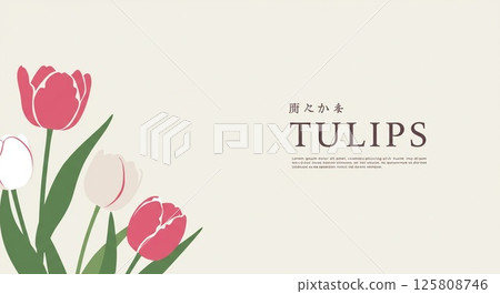 The background is a soft cream color, and the tulips are simple and sophisticated. 125808746