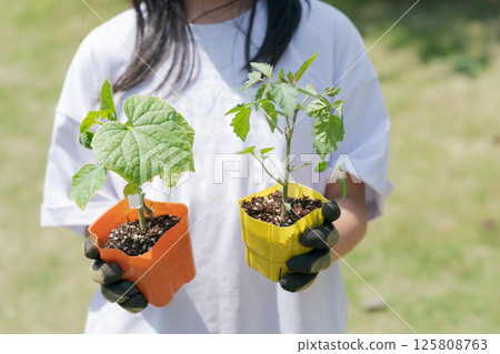 Girl holding vegetable seedlings 125808763