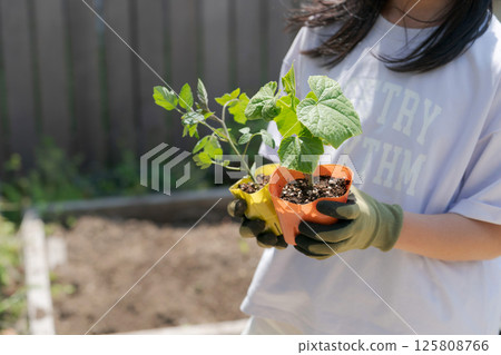 Girl holding vegetable seedlings Girl holding vegetable seedlings 125808766