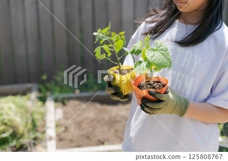 Girl holding vegetable seedlings Girl holding vegetable seedlings 125808767