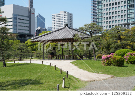 芝芝前花園 125809132