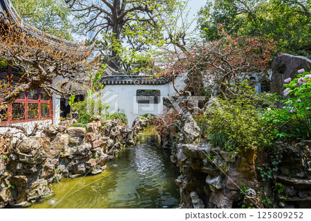 Shanghai, China - 1 April 2025: Scenic view of a traditional Chinese garden with pond, rock formations, and trees in full bloom inside the historic Yu Garden 125809252