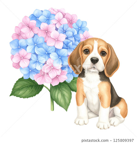 繡球花和小獵犬小狗的插圖11/傳單和海報材料 125809397