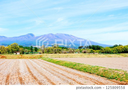 五月的淺山和高原菜田 信州的山脈 信州的自然風光 信州的風景 五月的淺山和高原菜田 信州的山脈 信州的自然風光 信州的風景 125809558