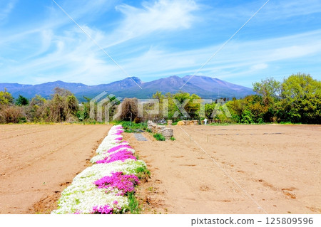 五月的淺山和高原菜田 信州的山脈 信州的自然風光 信州的風景 五月的淺山和高原菜田 信州的山脈 信州的自然風光 信州的風景 125809596