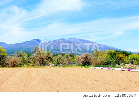 五月的淺山和高原菜田 信州的山脈 信州的自然風光 信州的風景 125809597