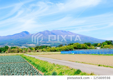 五月的淺山和高原菜田 信州的山脈 信州的自然風光 信州的風景 125809598