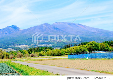 五月的淺山和高原菜田 信州的山脈 信州的自然風光 信州的風景 五月的淺山和高原菜田 信州的山脈 信州的自然風光 信州的風景 125809599