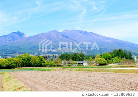 Mt. Asama and highland vegetable fields in May Mountains of Shinshu Nature of Shinshu Scenery of Shinshu 125809638