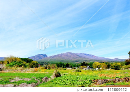 Mt. Asama and highland vegetable fields in May Mountains of Shinshu Nature of Shinshu Scenery of Shinshu 125809652