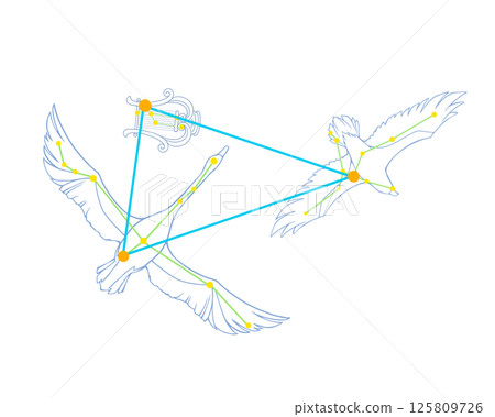 Colored line drawing of the Summer Triangle (including pictures of a swan, an eagle, and a harp) 125809726