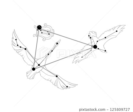 Monochrome line drawing of the Summer Triangle (including pictures of a swan, an eagle, and a harp) Monochrome line drawing of the Summer Triangle (including pictures of a swan, an eagle, and a harp) 125809727