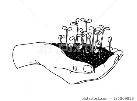 Plants that germinate in the soil by hand-held plants, grow by elephants, and are sustainable and environmentally friendly. Very suitable environmental protection subject. Plants that germinate in the soil by hand-held plants, grow by elephants, and are sustainable and environmentally friendly. Very suitable environmental protection subject. 125809838