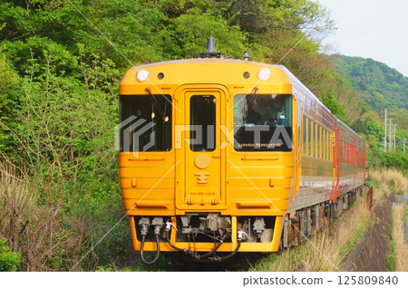 赤紅的伊予灘的故事 赤紅的伊予灘的故事 125809840