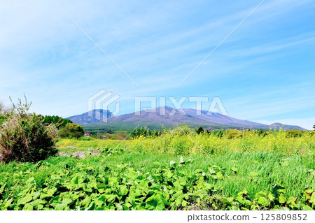 五月的淺山和高原菜田 信州的山脈 信州的自然風光 信州的風景 五月的淺山和高原菜田 信州的山脈 信州的自然風光 信州的風景 125809852