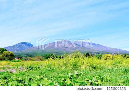 五月的淺山和高原菜田 信州的山脈 信州的自然風光 信州的風景 五月的淺山和高原菜田 信州的山脈 信州的自然風光 信州的風景 125809853