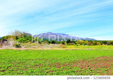 Mt. Asama and highland vegetable fields in May Mountains of Shinshu Nature of Shinshu Scenery of Shinshu 125809856